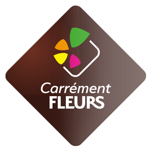 Logo Carrément fleurs